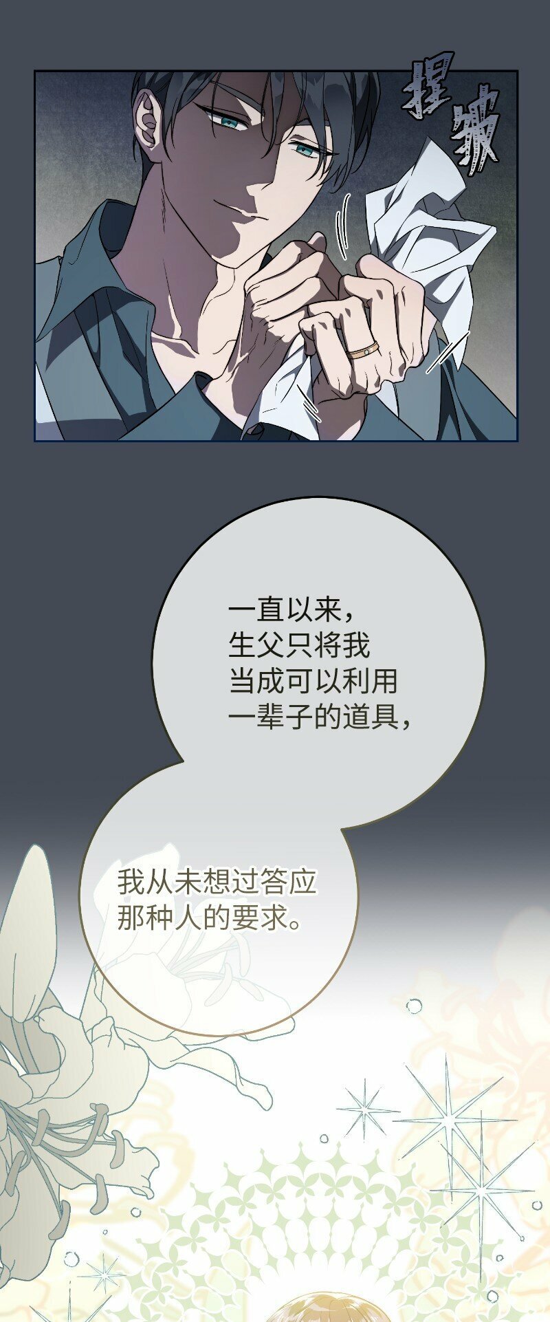71 达沃维尔的自述35