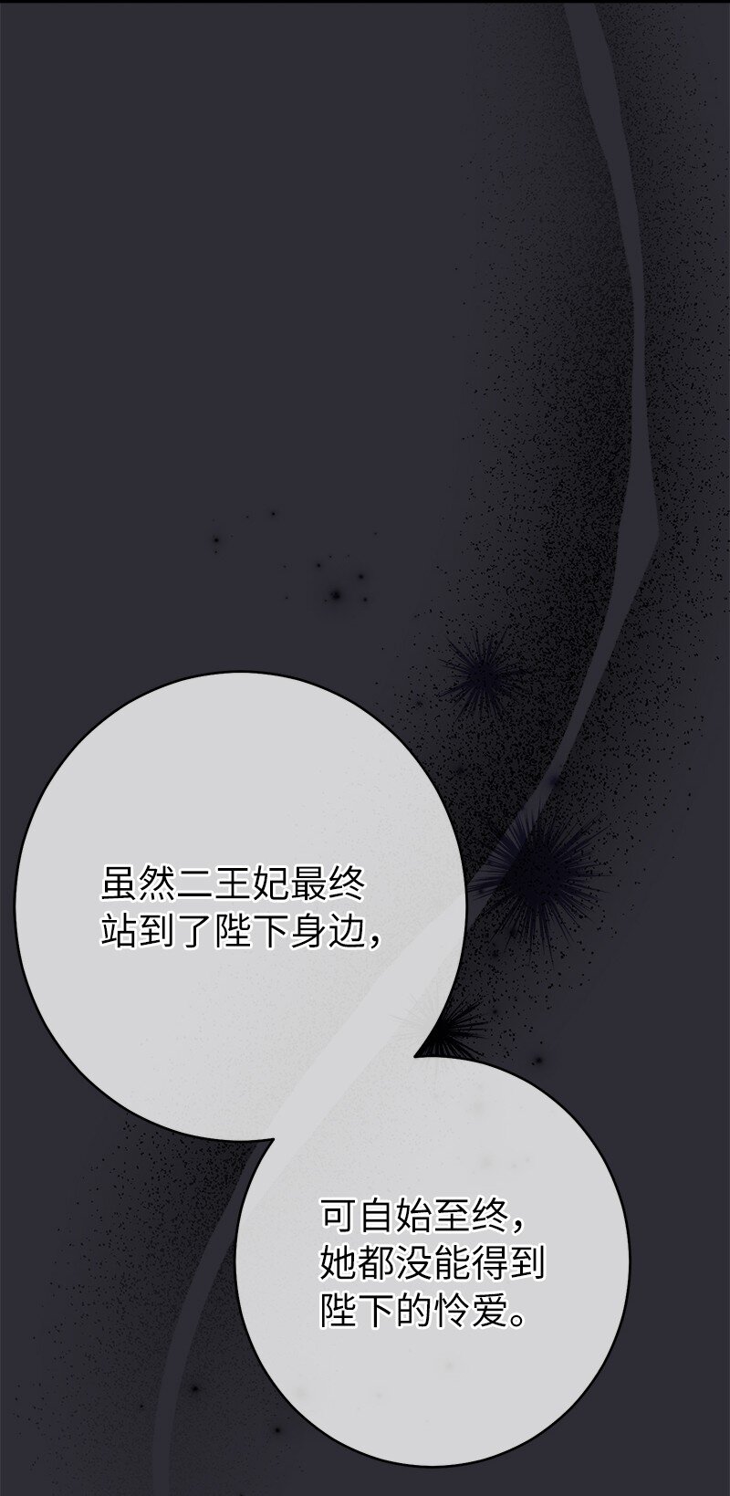 26 二王子的身世102