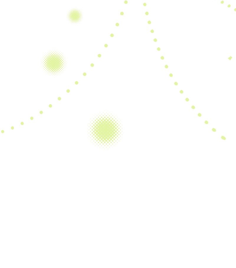 44 一枝玫瑰63