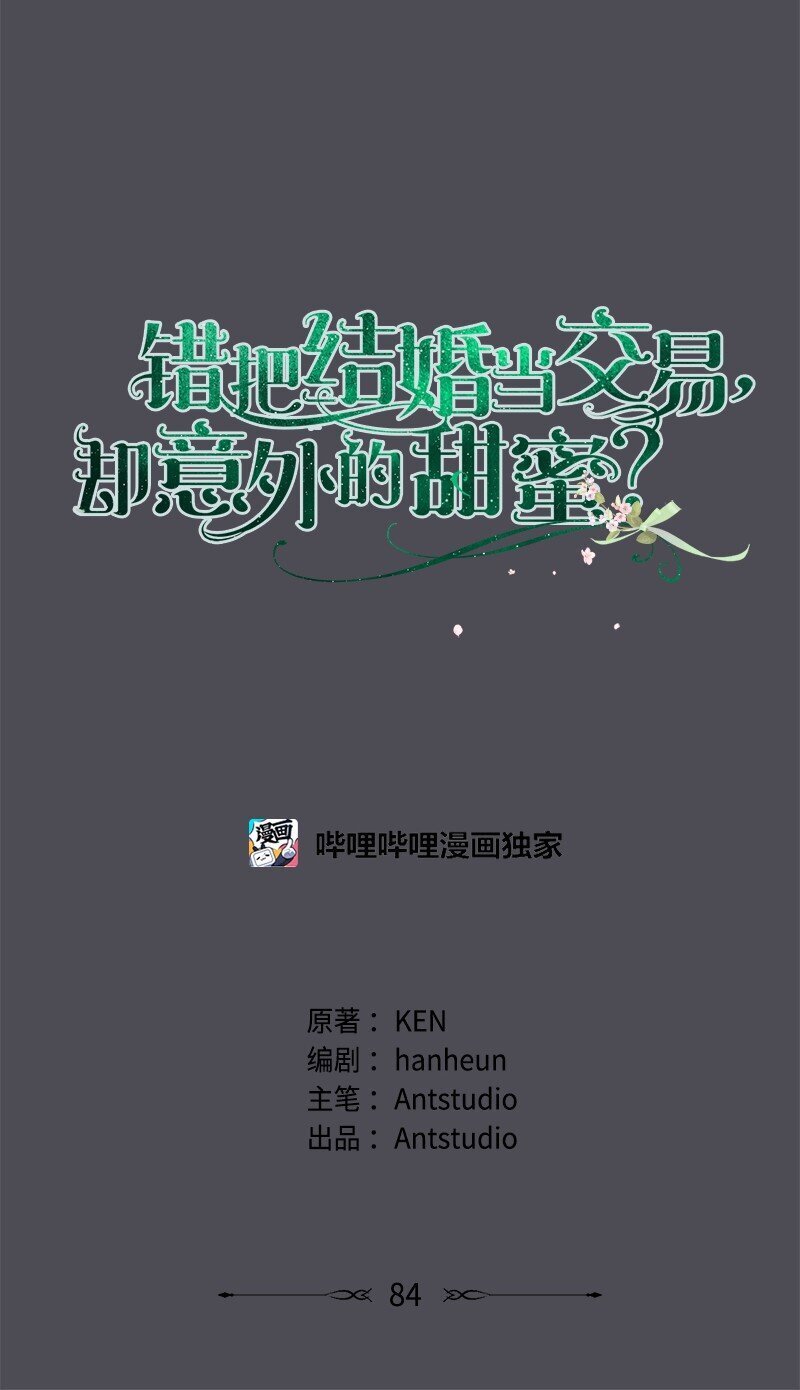 84 文森特的劝导26