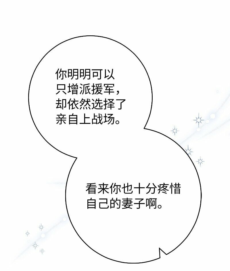 71 达沃维尔的自述57