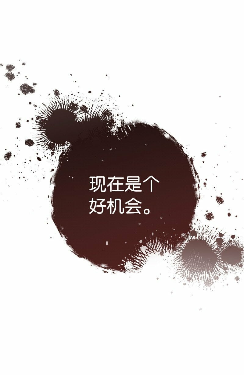 71 达沃维尔的自述67