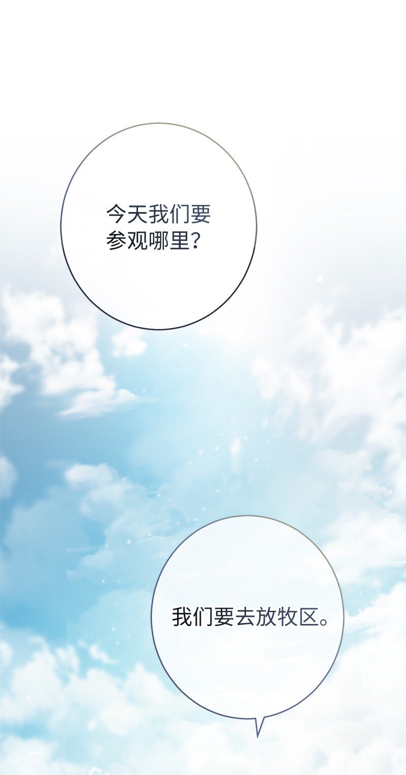 13 投资生意87