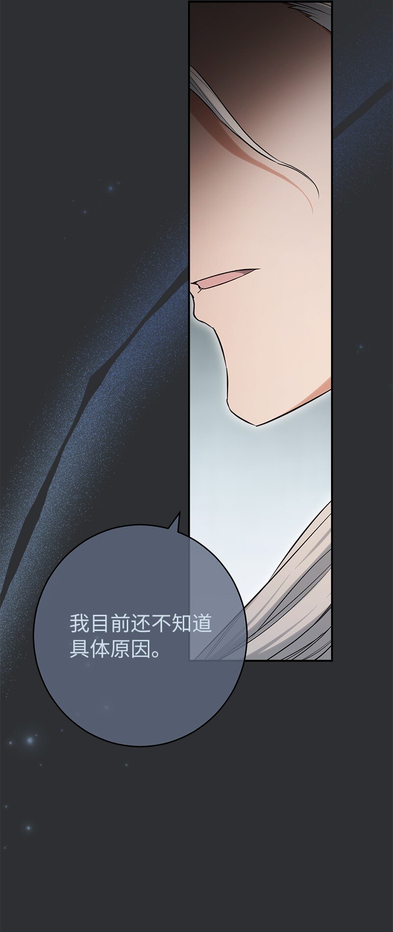 26 二王子的身世32