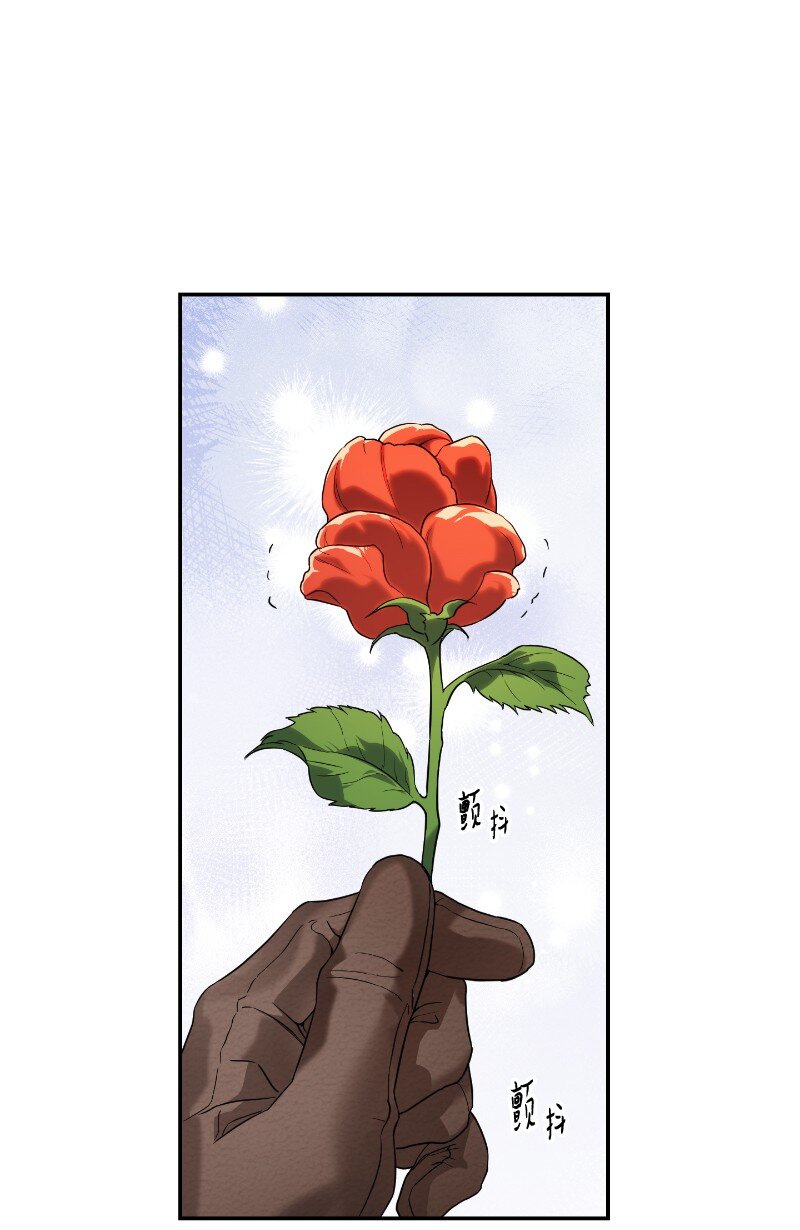 39 骑士的玫瑰55