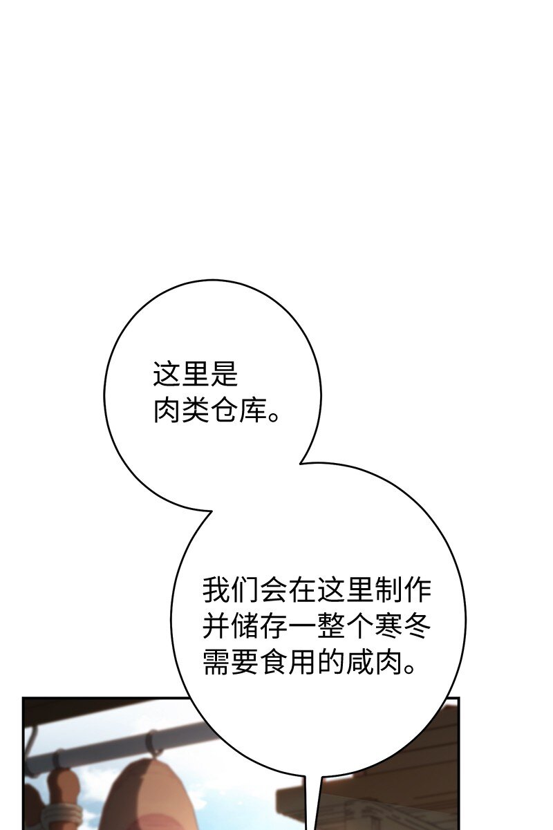 11 了解阿尔诺91