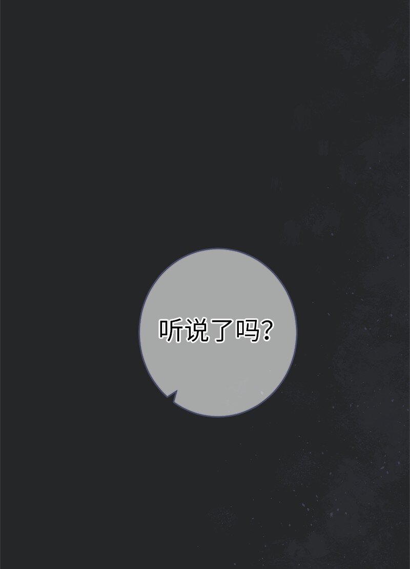 17 兑现承诺19