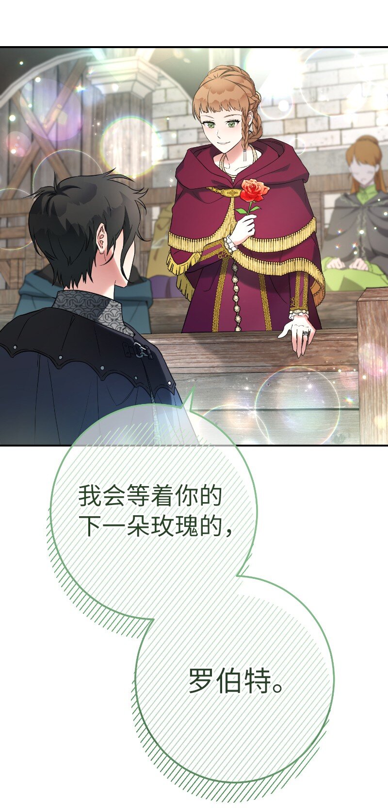39 骑士的玫瑰62
