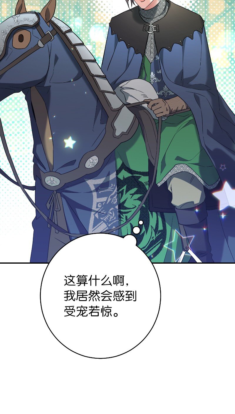 39 骑士的玫瑰65