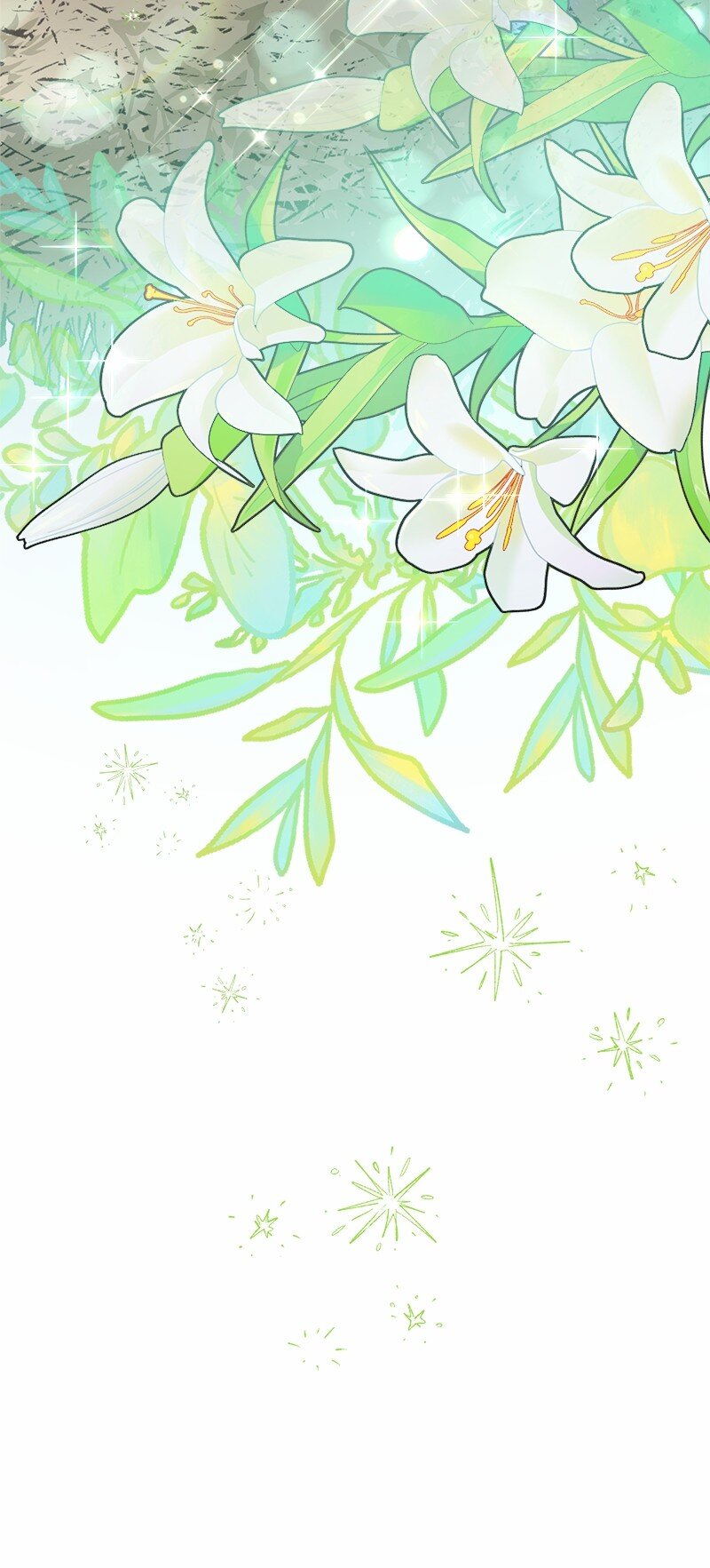 12 安排妥当24