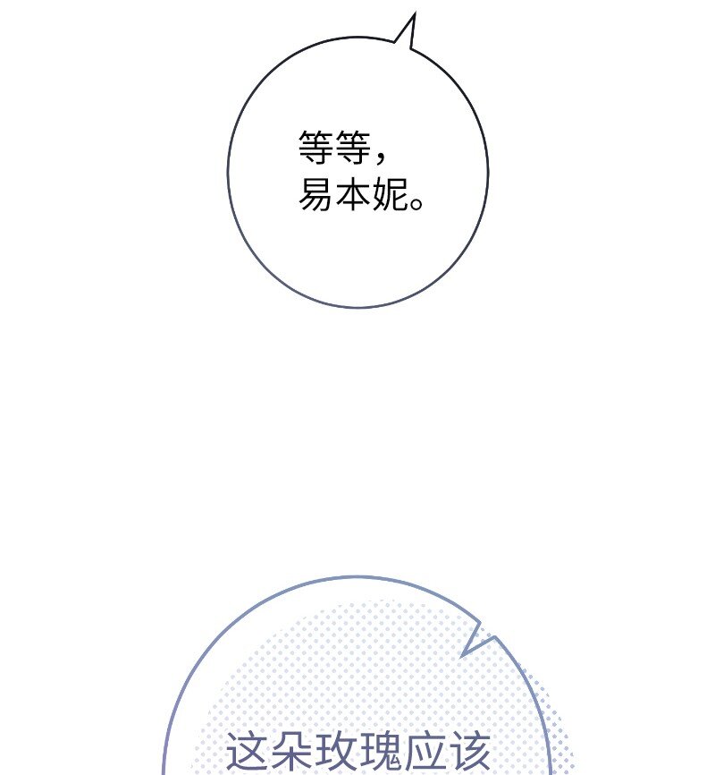 39 骑士的玫瑰89