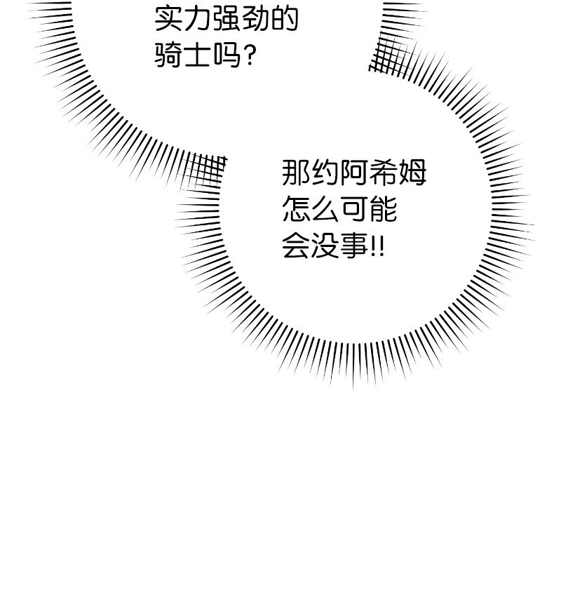 39 骑士的玫瑰7