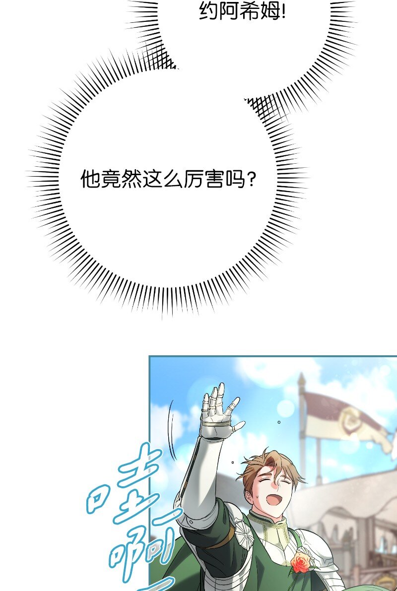 39 骑士的玫瑰27