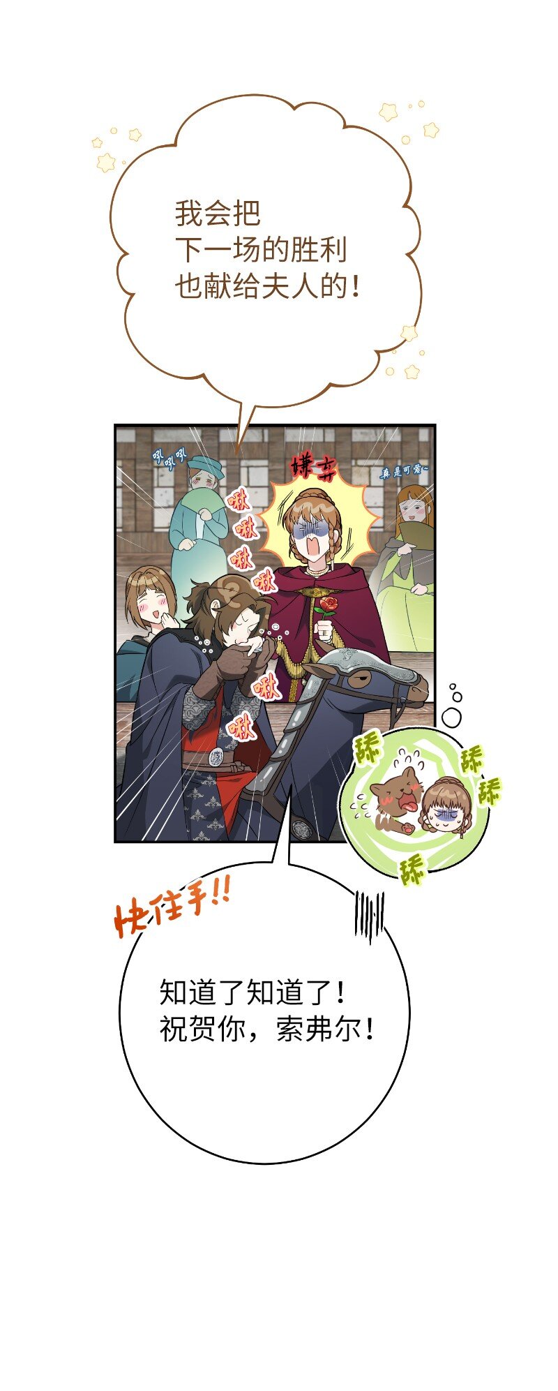39 骑士的玫瑰52