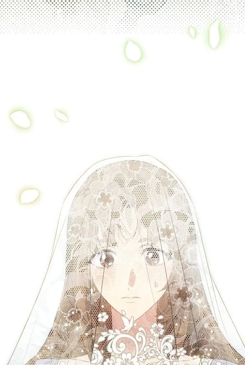 92 结婚礼物6