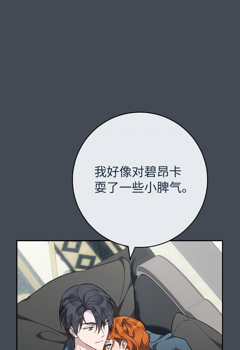 71 达沃维尔的自述41