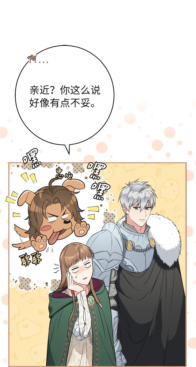 22 选择权11