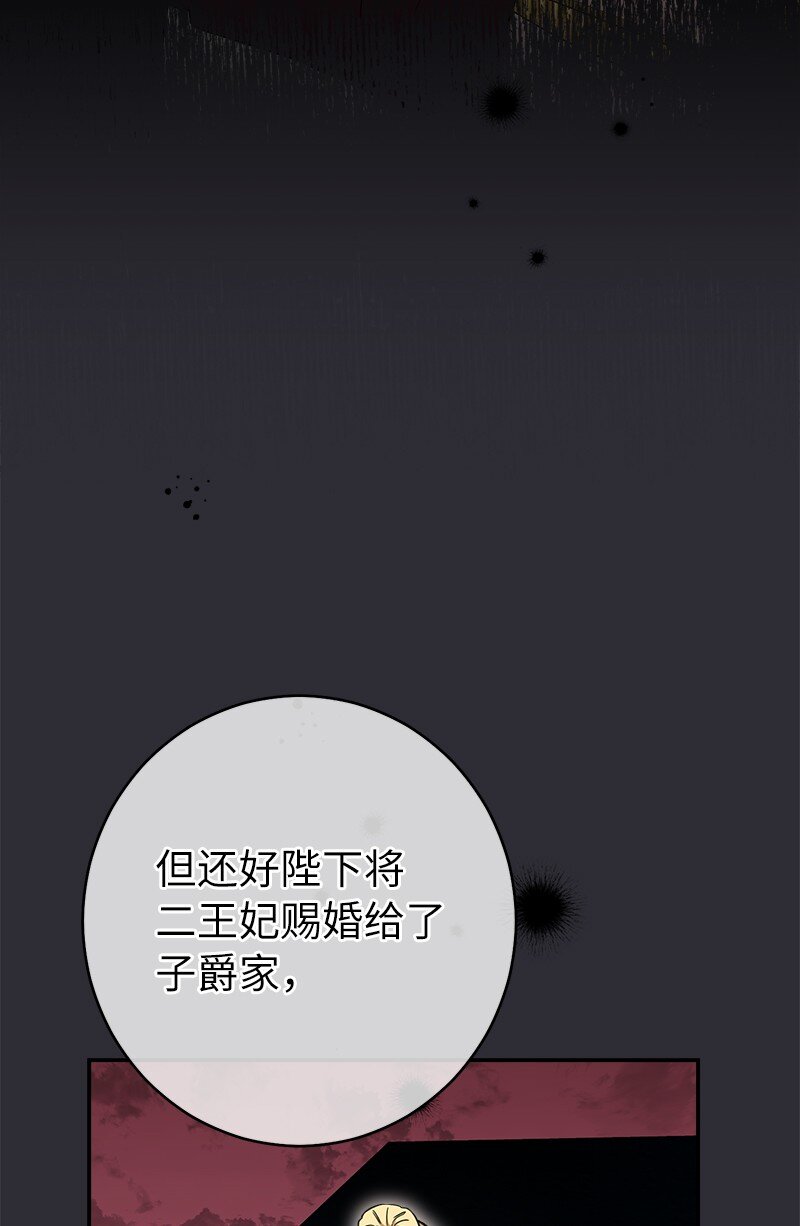 26 二王子的身世94