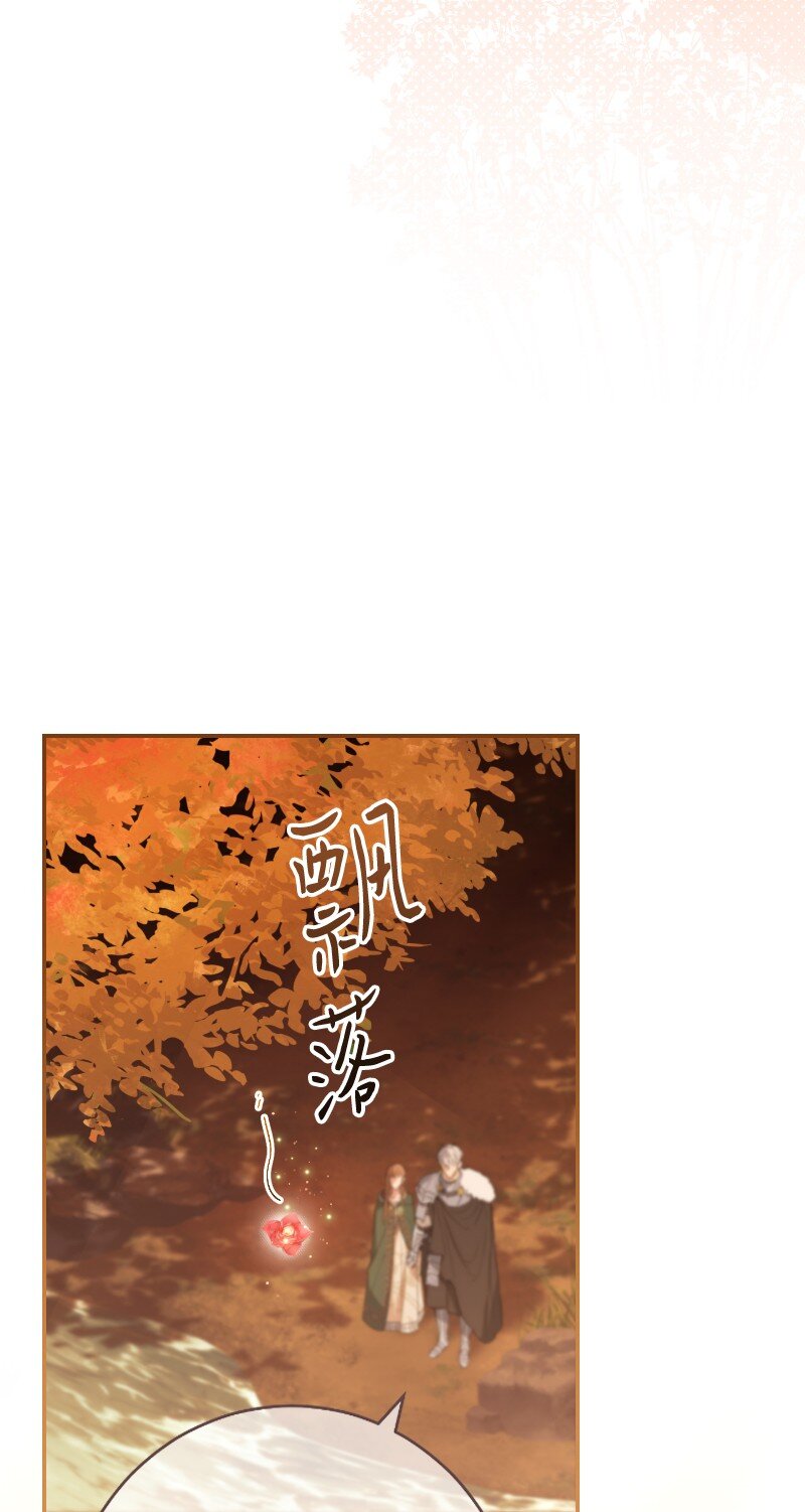 22 选择权4