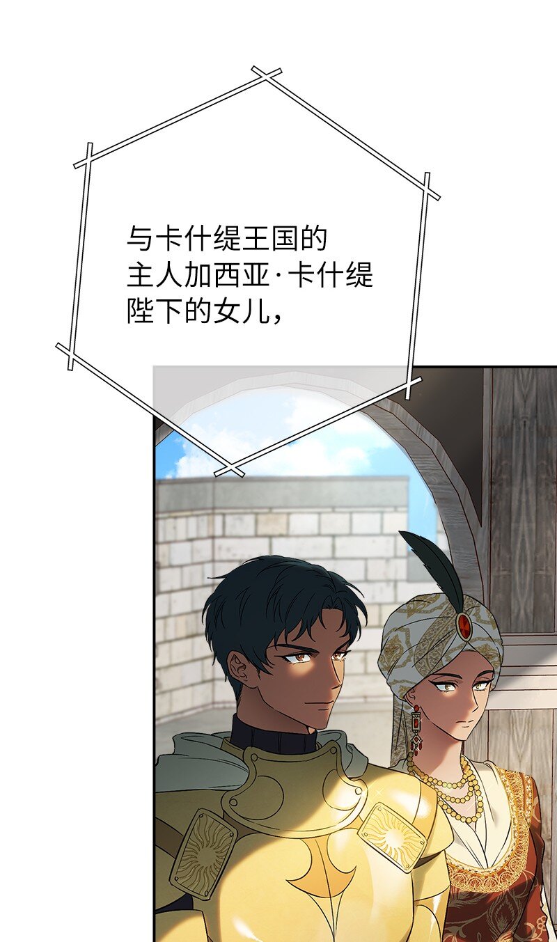38 出乎意料的骑士60
