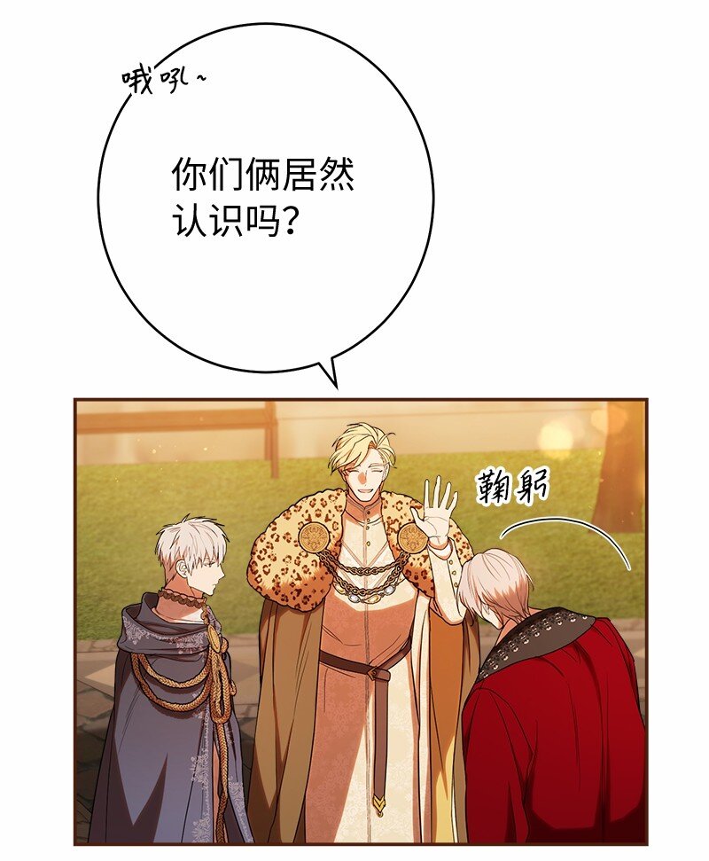 30 有意为之53