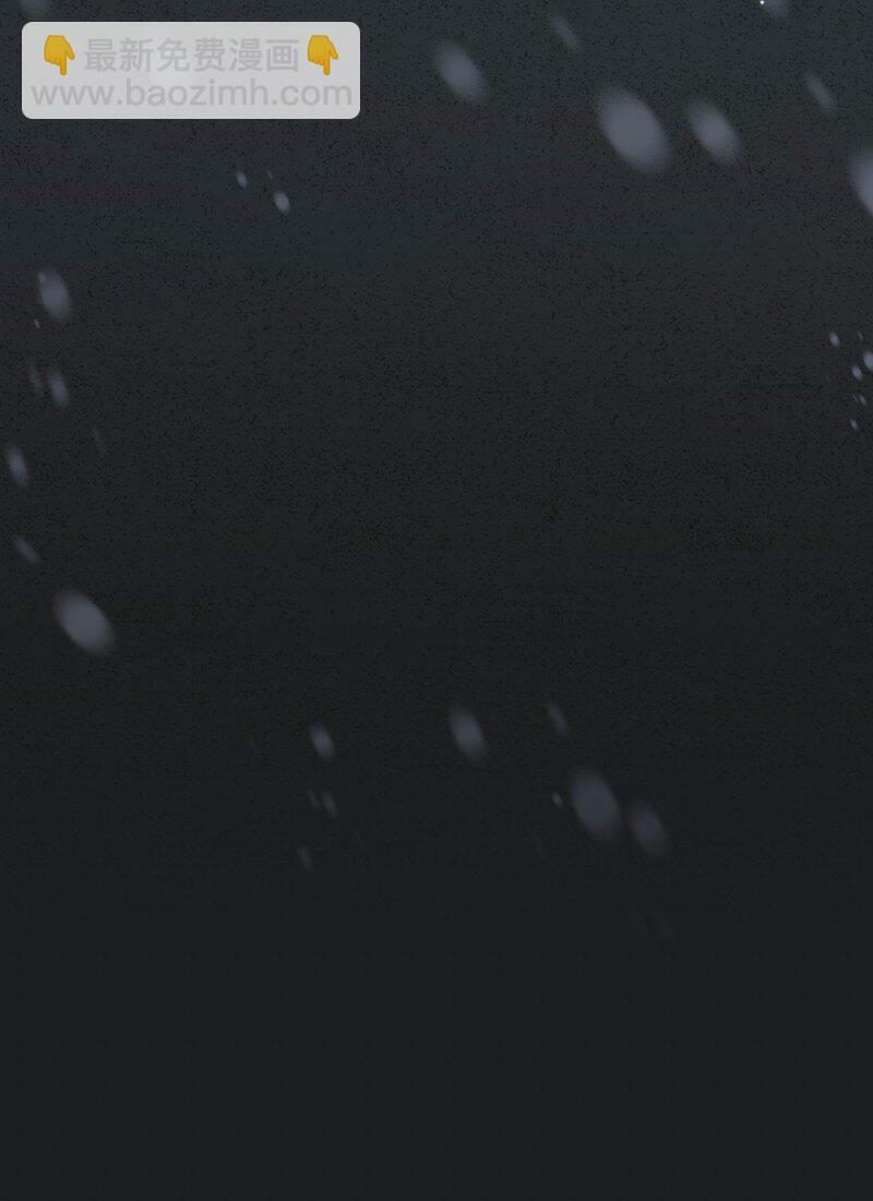 71 达沃维尔的自述74