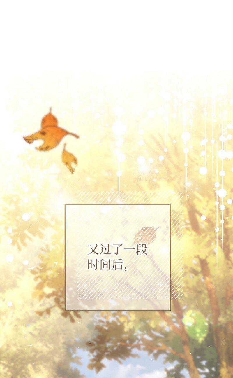 65 领主的遗嘱55