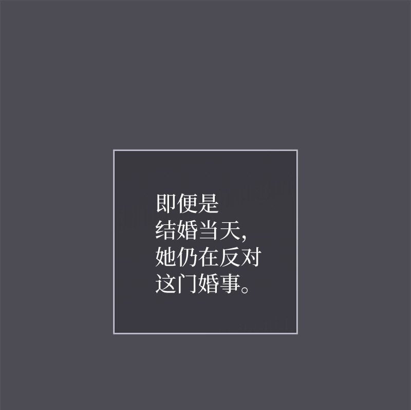 84 文森特的劝导49
