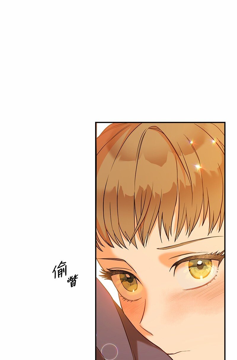 31 黑狼的觉醒34