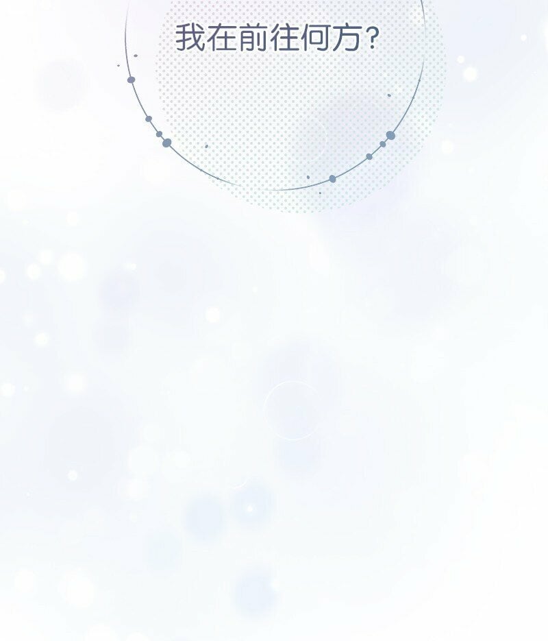 75 穷追不舍79