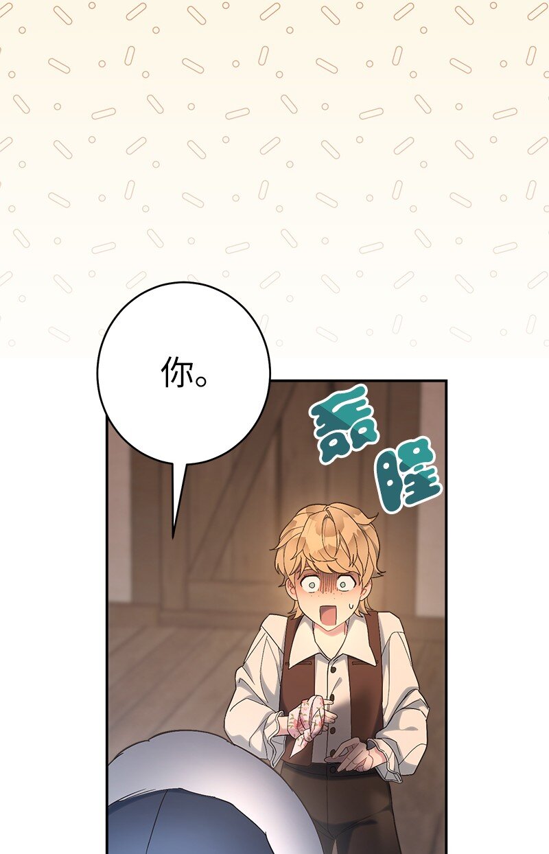 12 安排妥当46