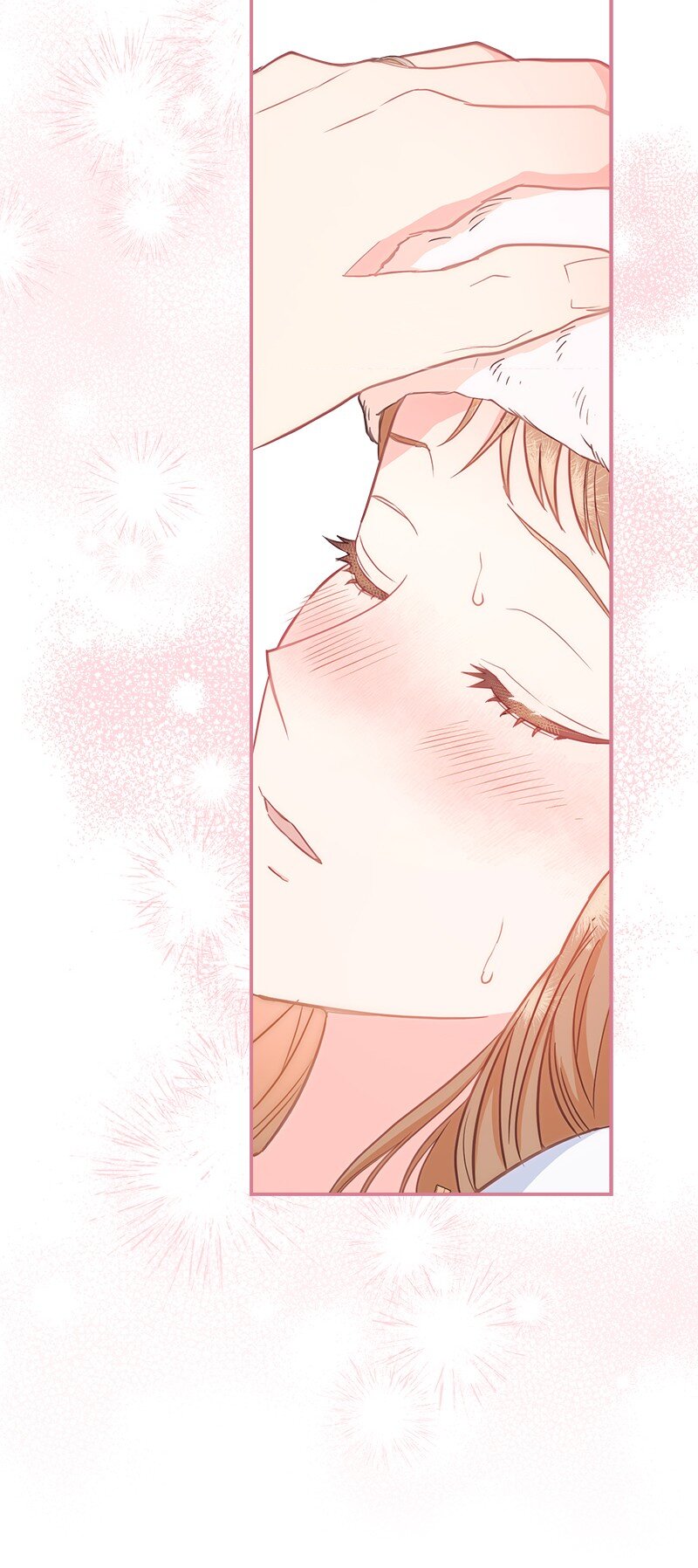 27 如约而至31