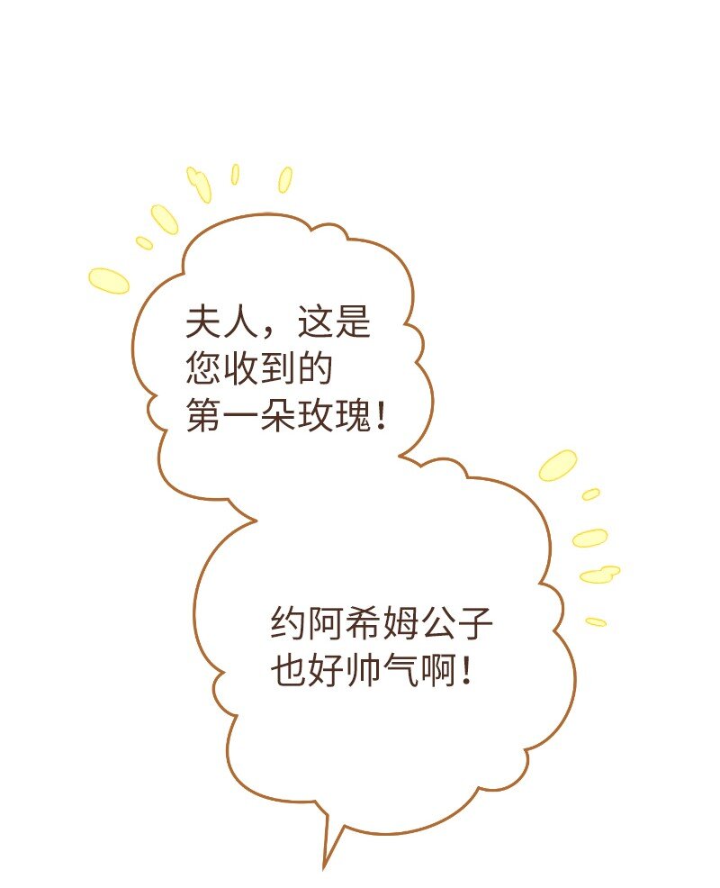 39 骑士的玫瑰45