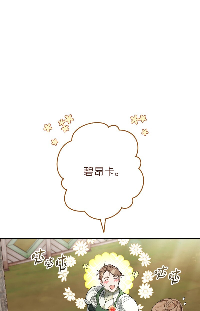 39 骑士的玫瑰29