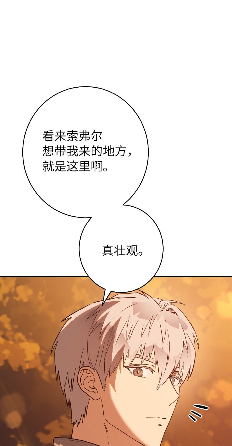 22 选择权7