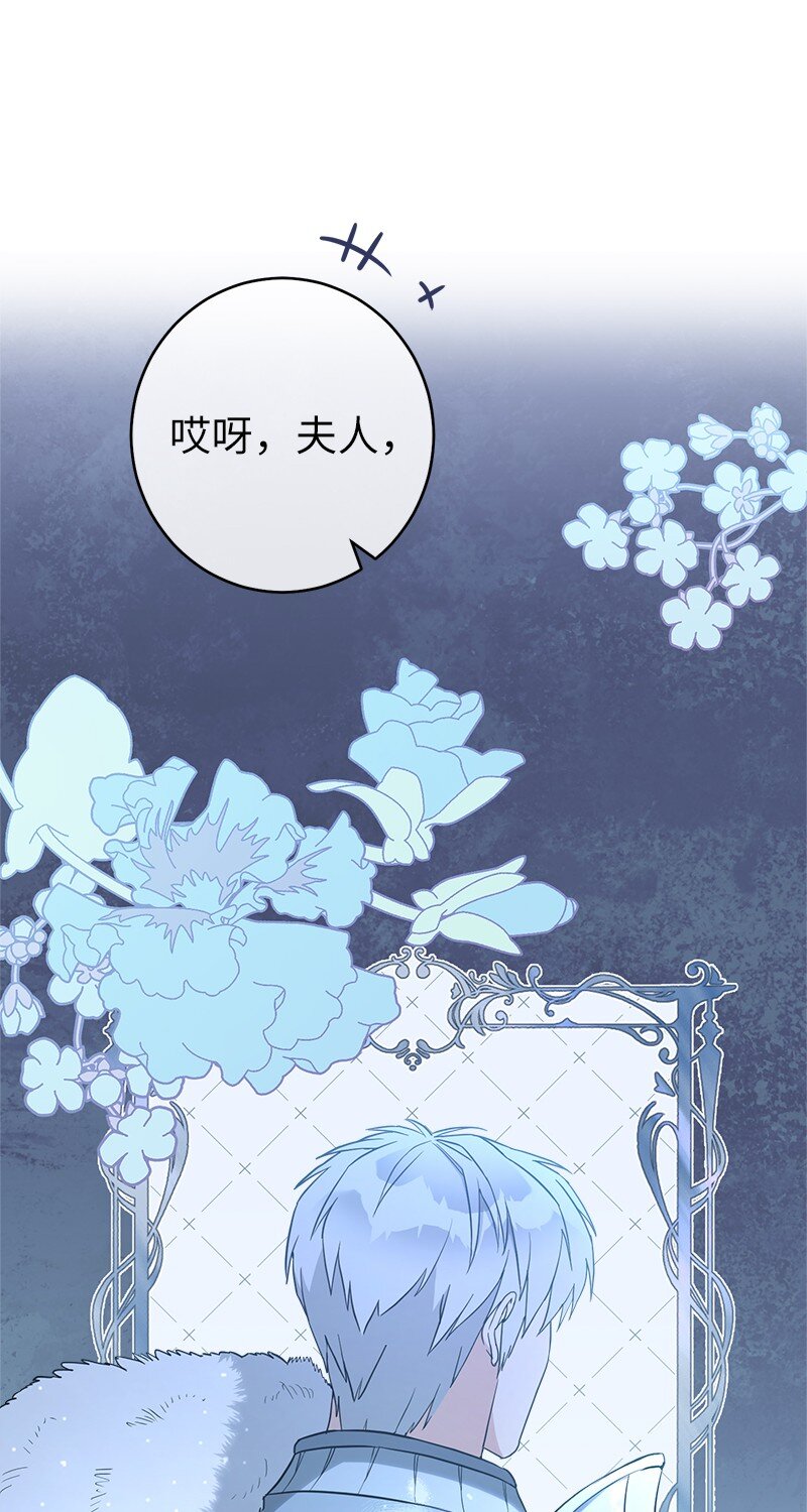 34 擂台赛91