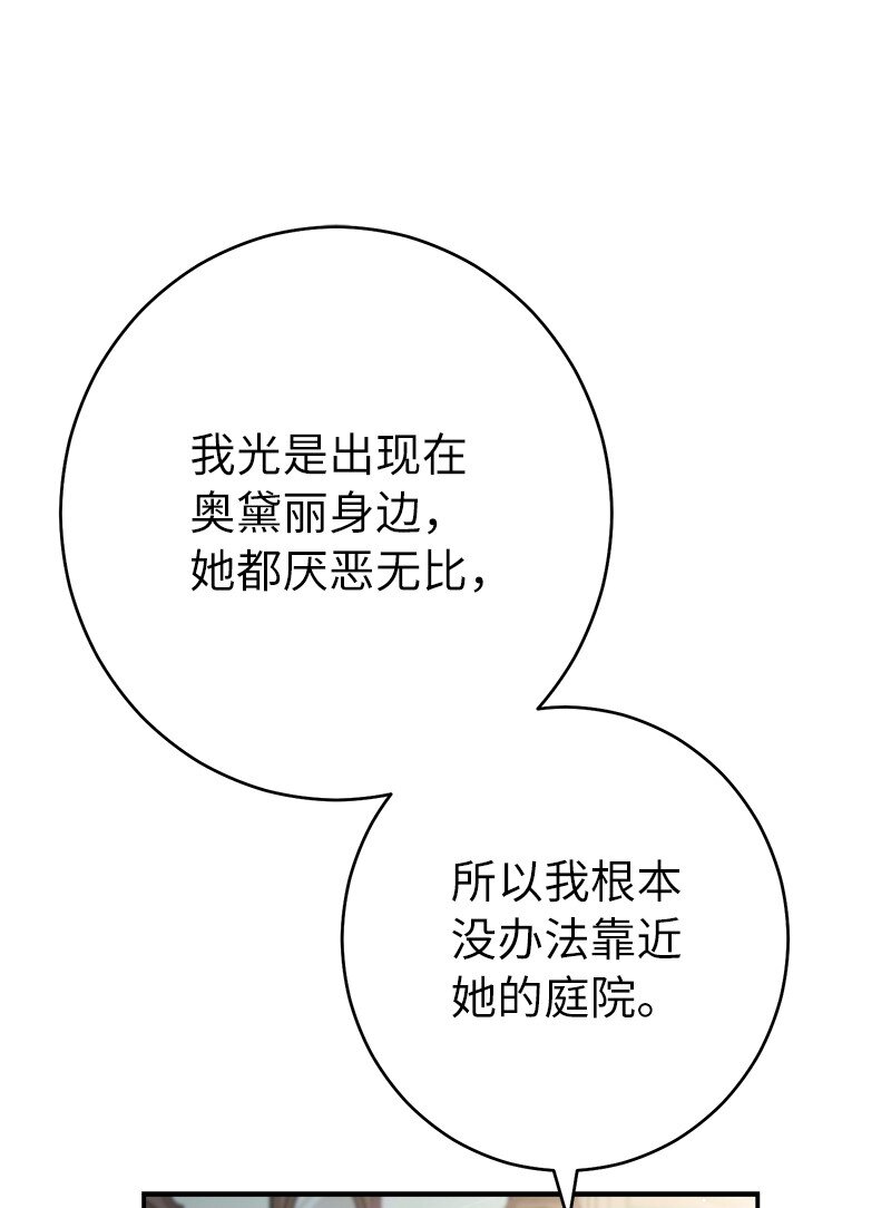 26 二王子的身世14