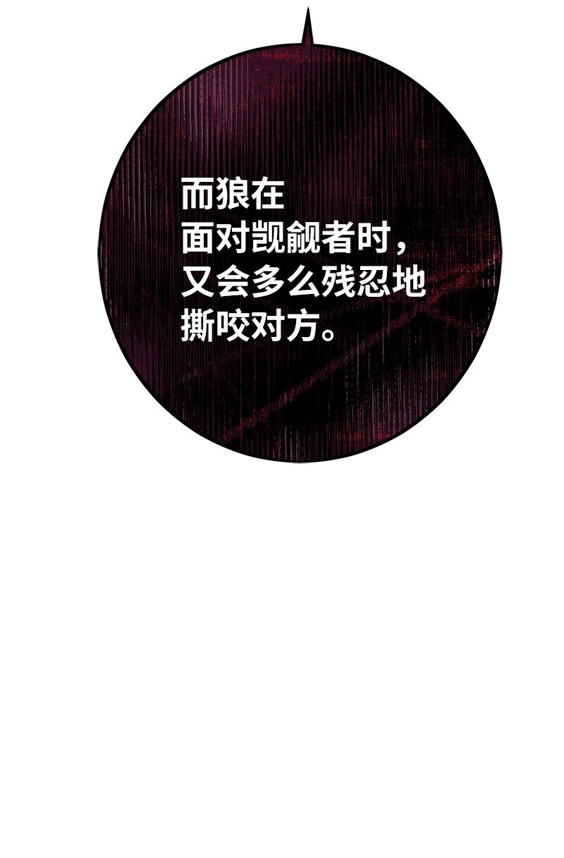 31 黑狼的觉醒105