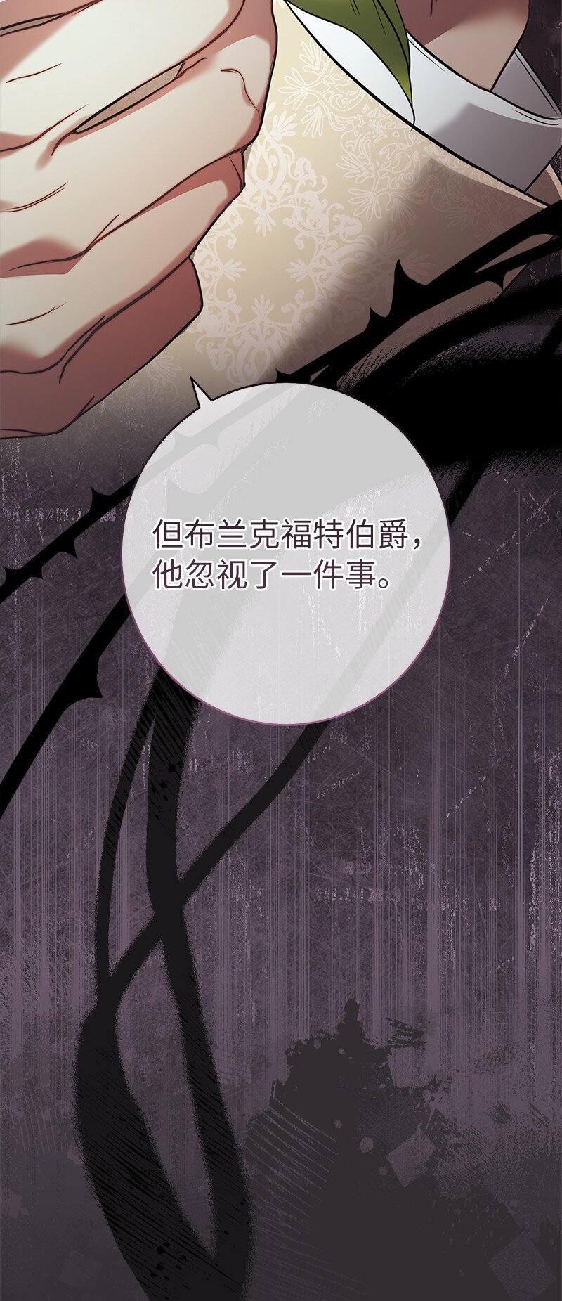 26 二王子的身世49