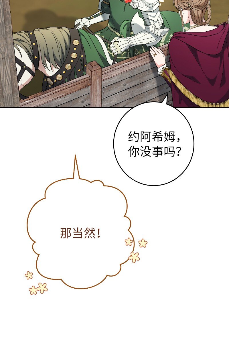 39 骑士的玫瑰30