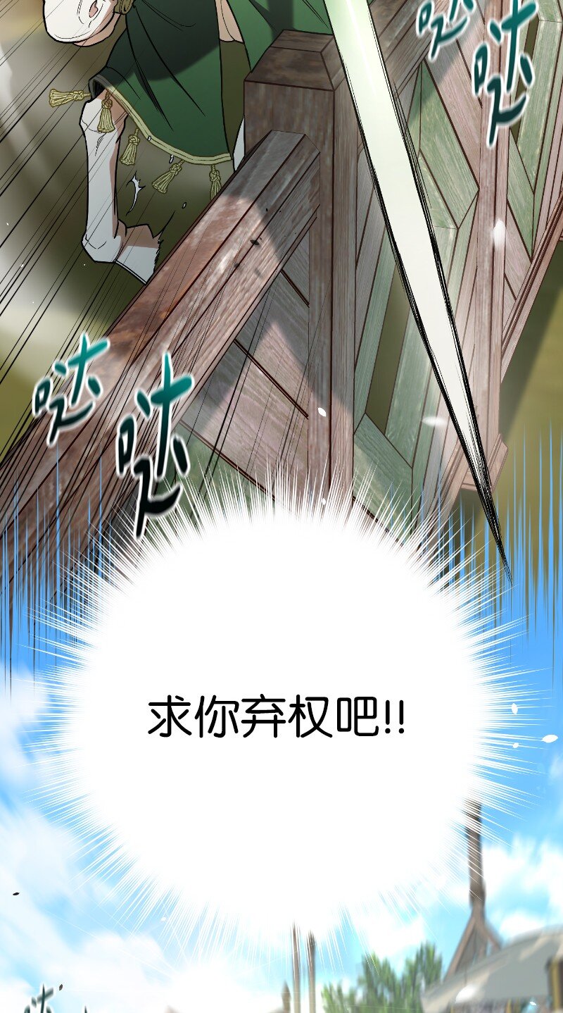 39 骑士的玫瑰14