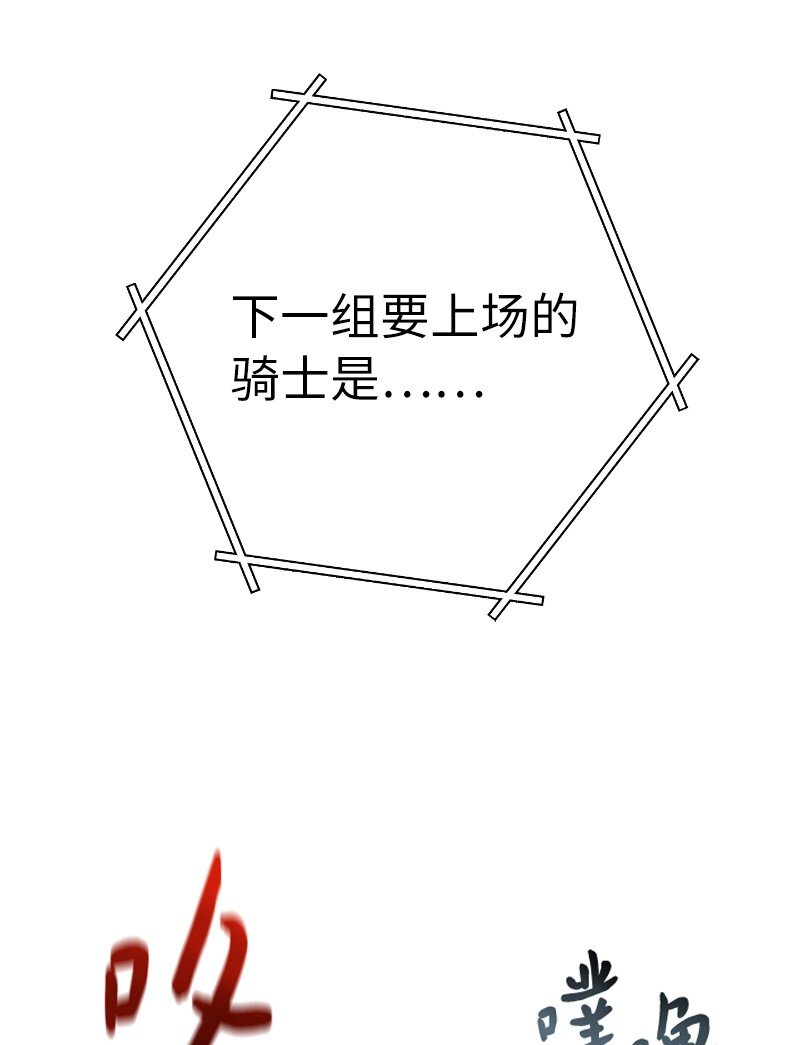 39 骑士的玫瑰72