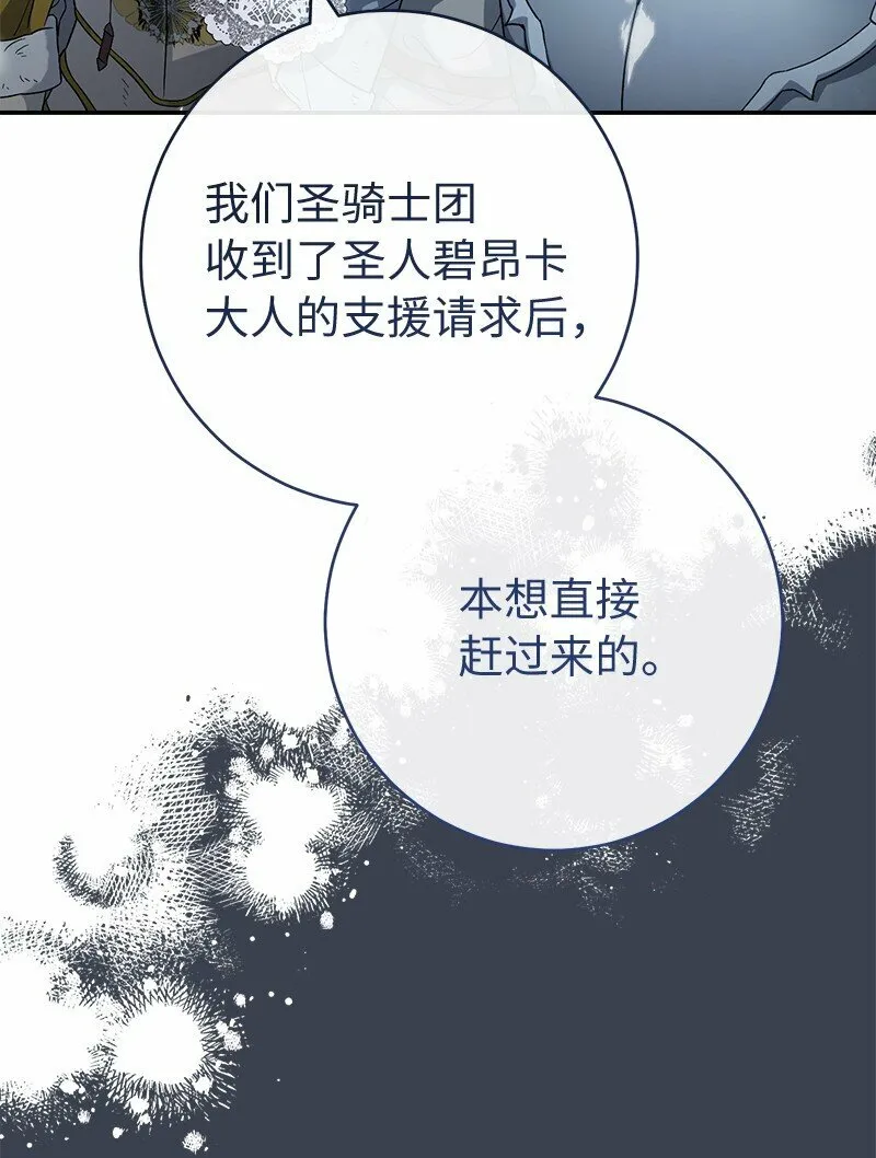 82 圣骑士团29