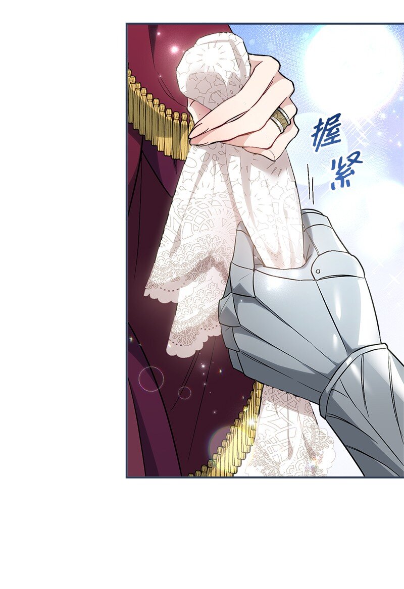 38 出乎意料的骑士15