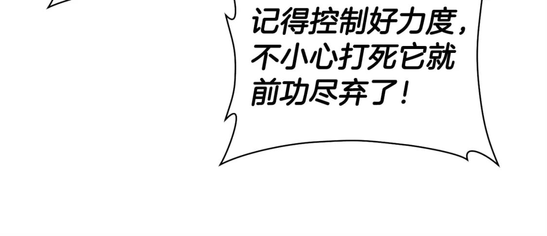 第38话 剑劈精灵187