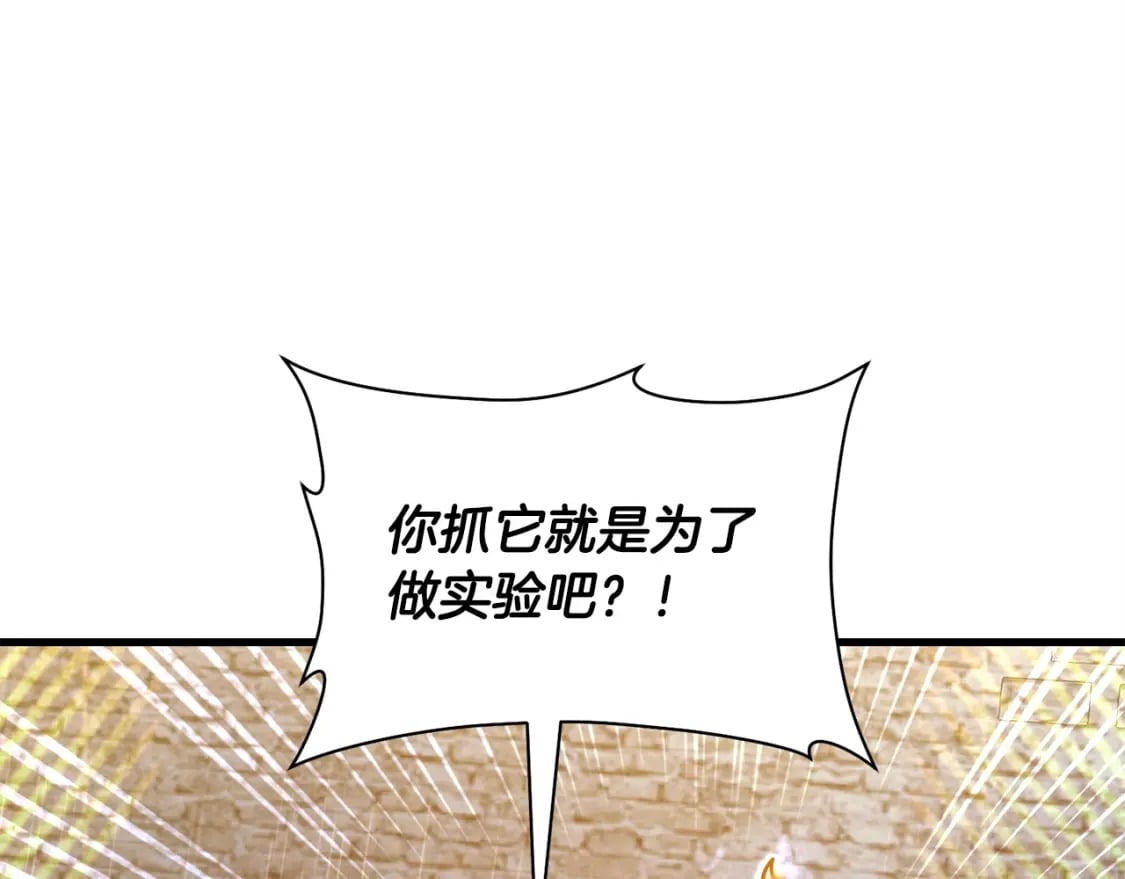 第39话 降伏精灵20
