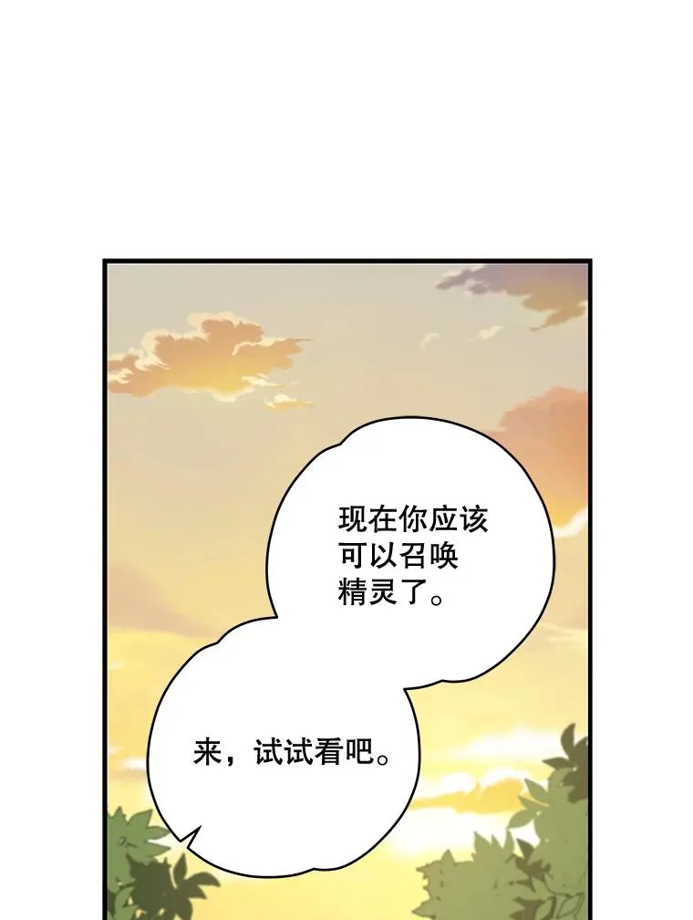 29.精灵契约98