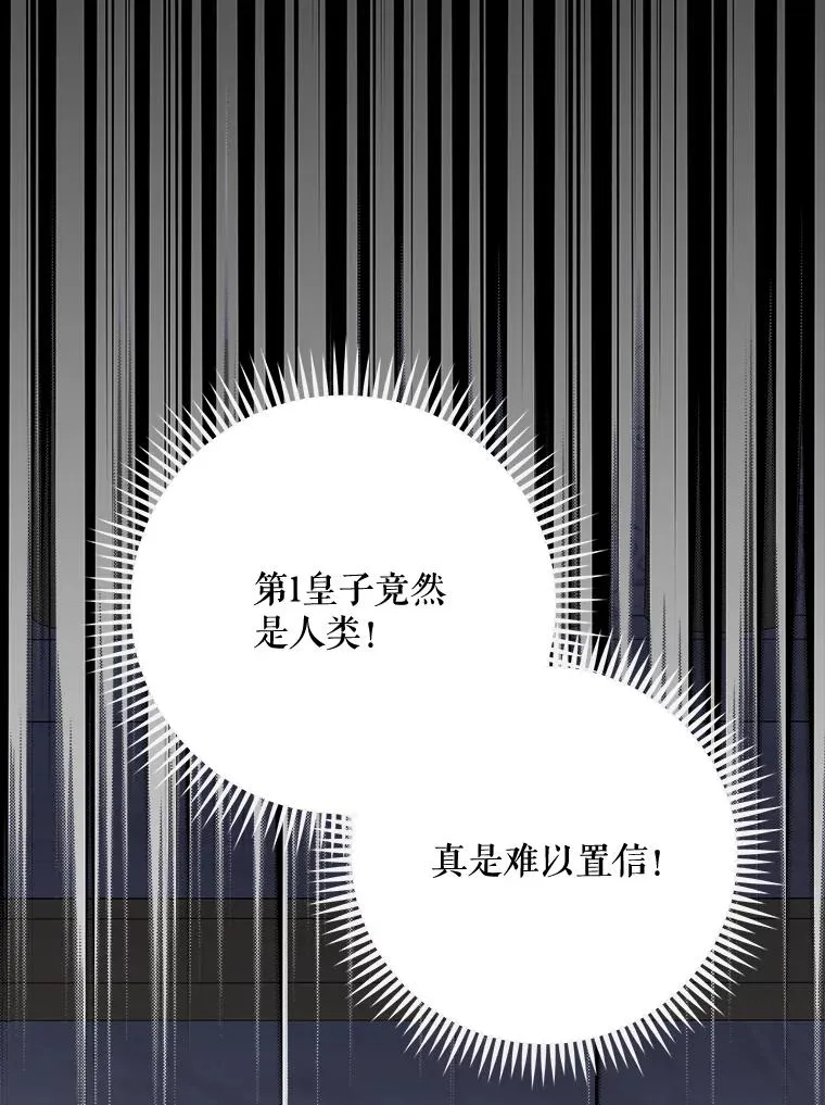 71.尘埃落定1