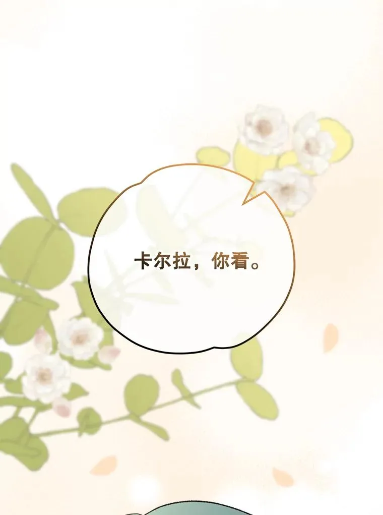 79.精灵格布65