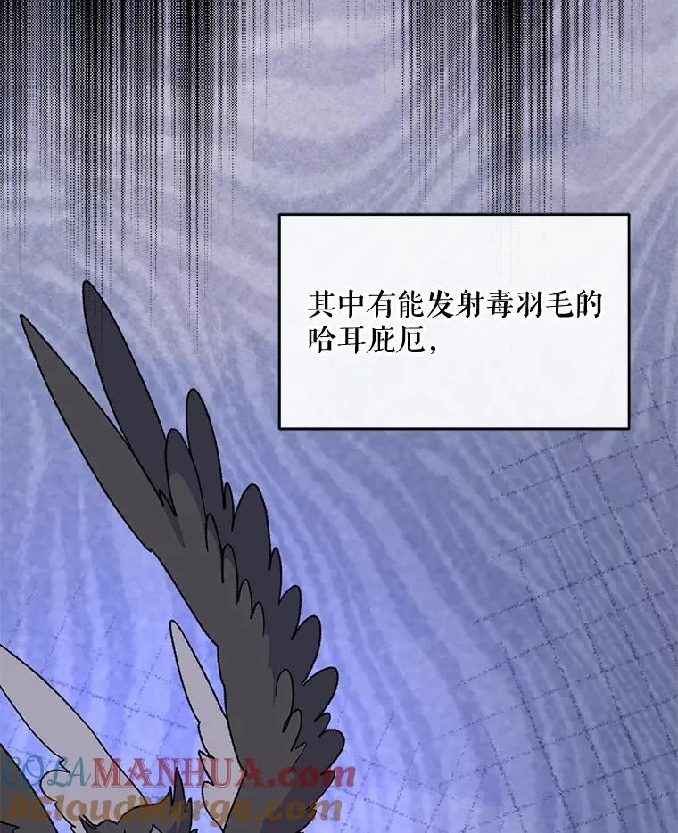 51.精灵实践88